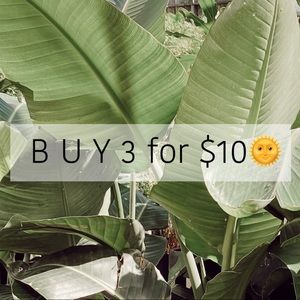 B U N D L E 🌞 D E A L